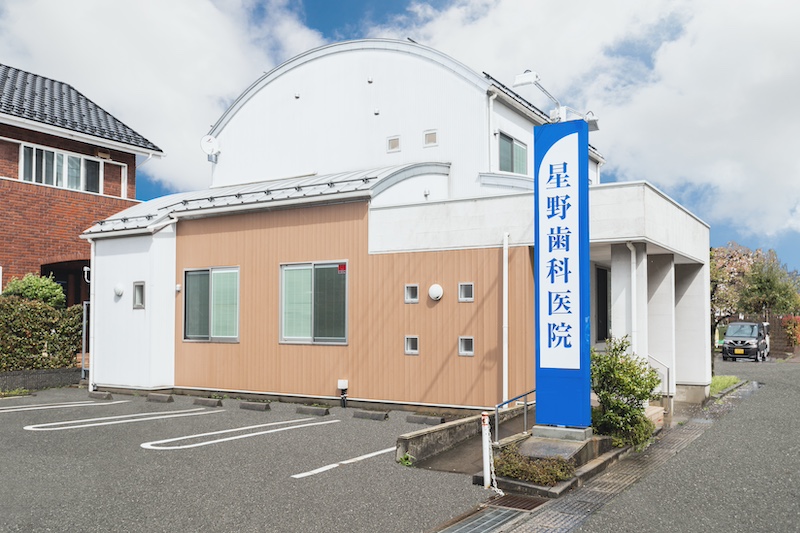 スタッフ募集